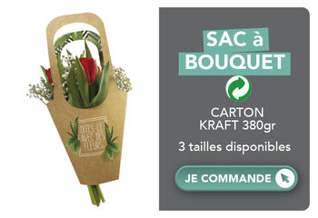 Sac à Bouquet Carton Kraft 380 gr