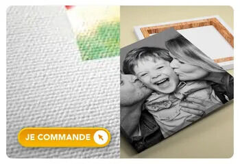 Toile type digitex 340gr M1